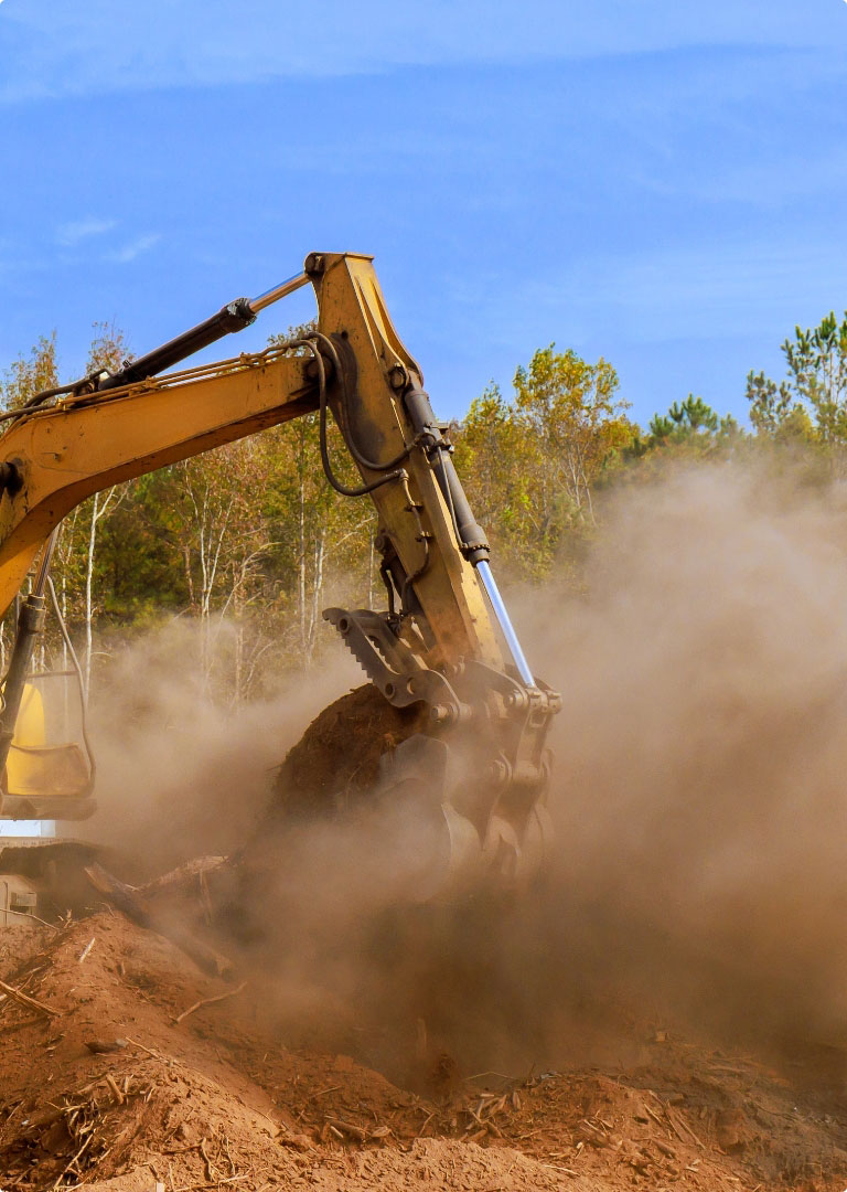 Shutterstock 2628611329